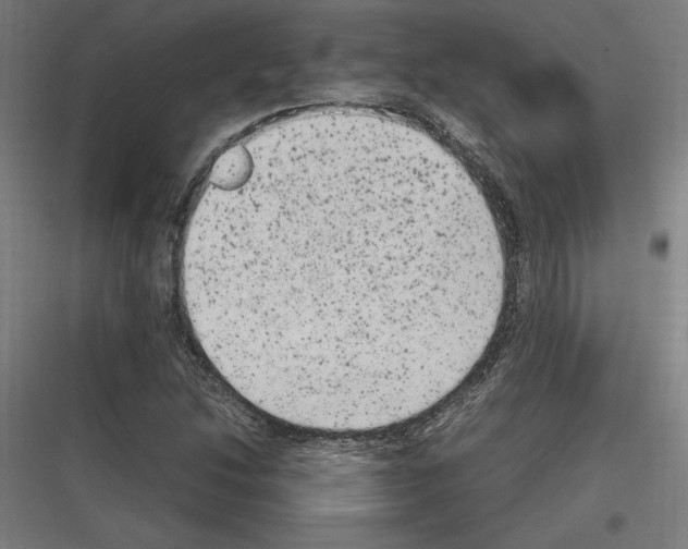 X0000116781214201001281207