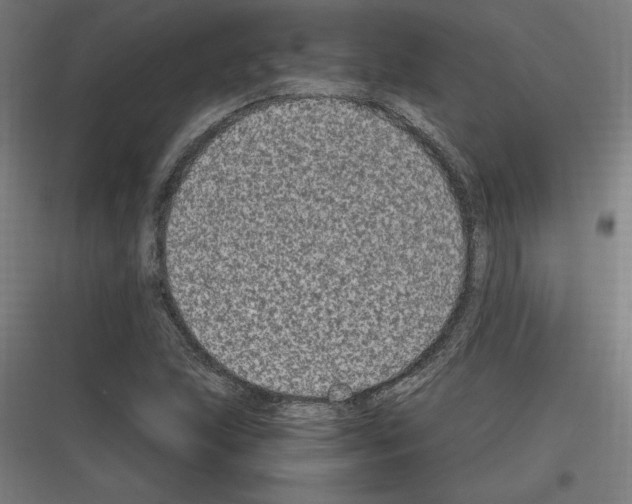 X0000116781215201001281207