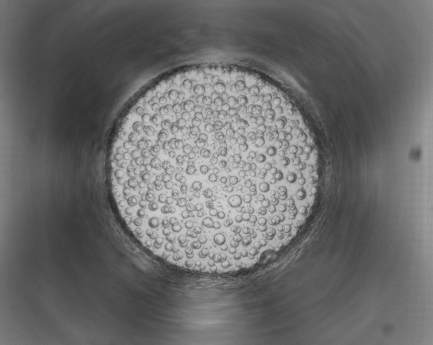 X0000116781216201001281207