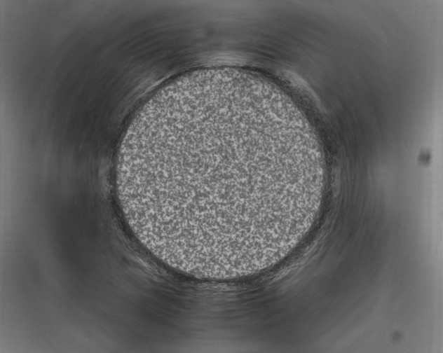 X0000116781217201001281207