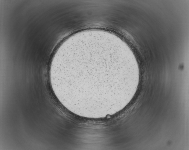 X0000116781218201001281207