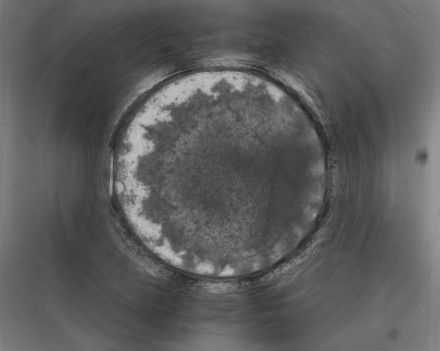 X0000116781219201001281207