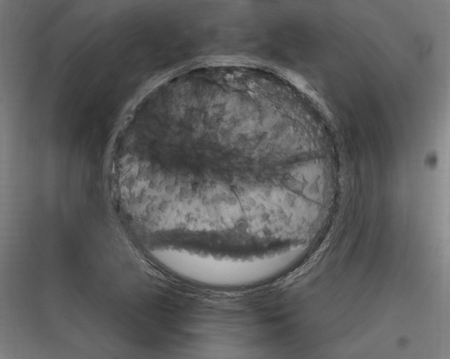 X0000116781221201001281207