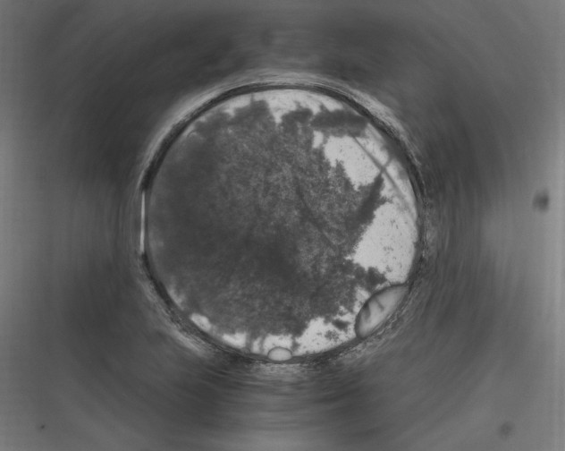 X0000116781223201001281207