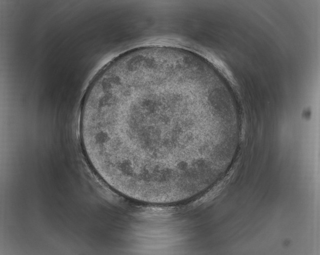 X0000116781224201001281207