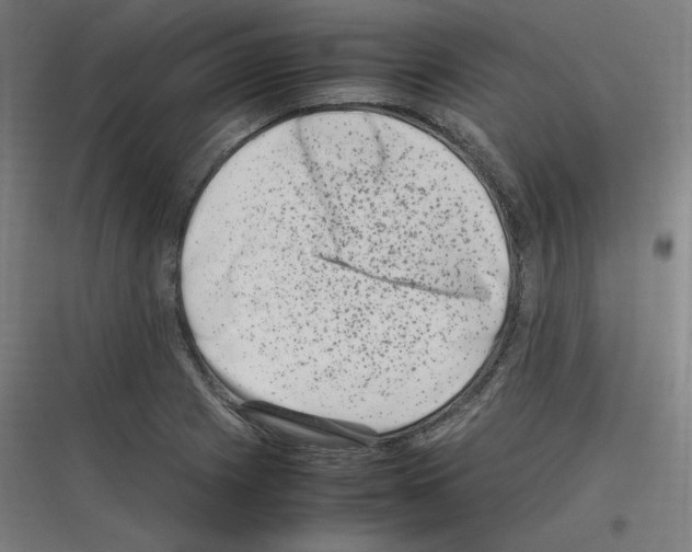 X0000116781225201001281207