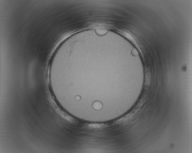 X0000116781227201001281207