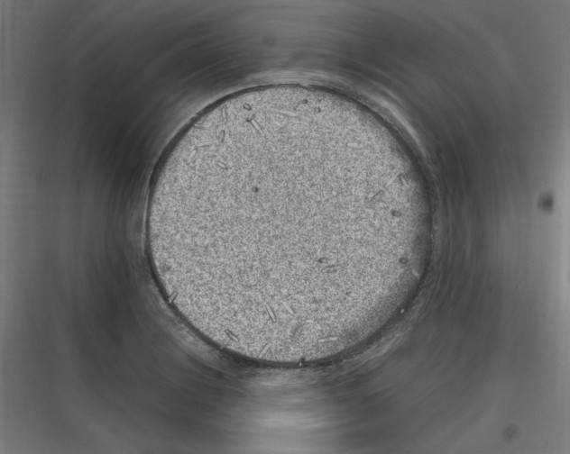 X0000116781228201001281207