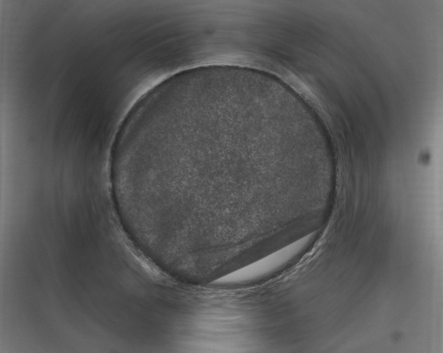 X0000116781230201001281207