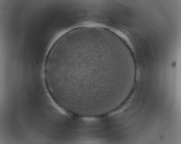 X0000116781231201001281207