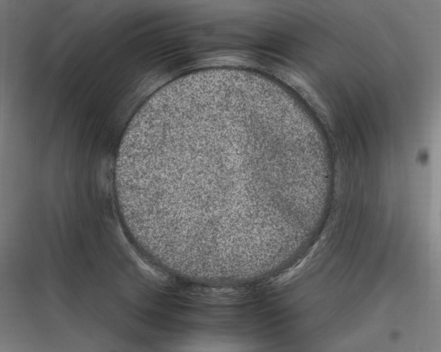 X0000116781233201001281207