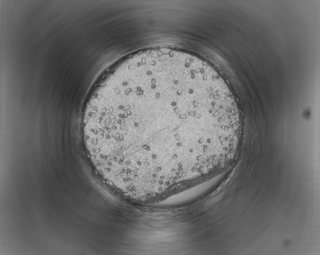 X0000116781234201001281208