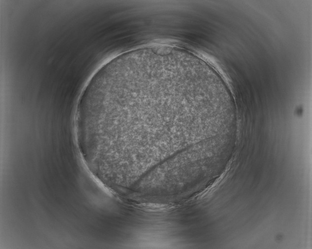 X0000116781235201001281208