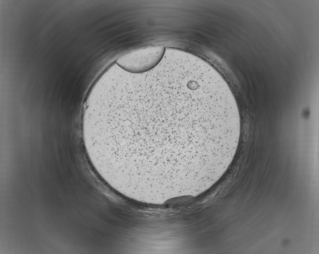 X0000116781236201001281208