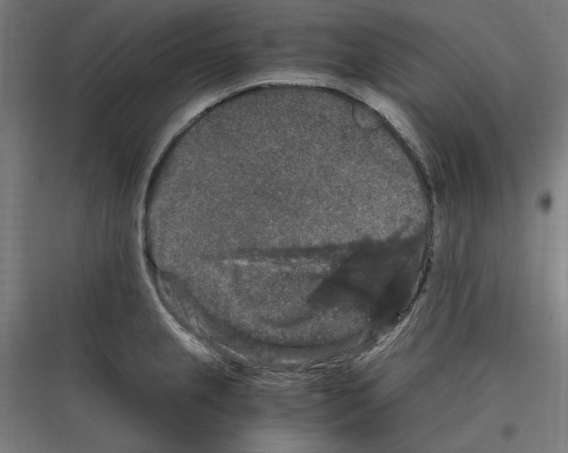 X0000116781237201001281208