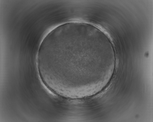 X0000116781239201001281208