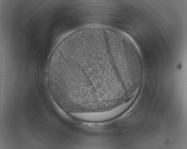 X0000116781244201001281208