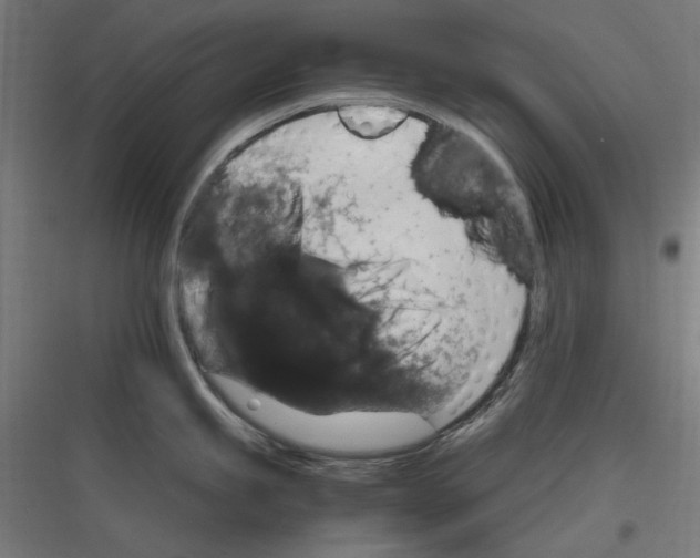 X0000116781245201001281208