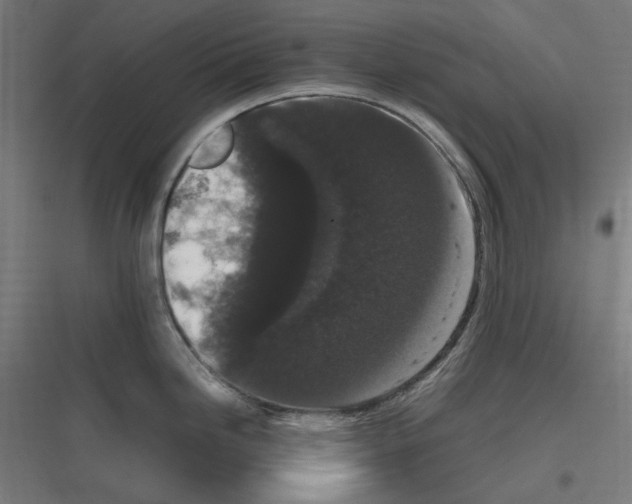 X0000116781246201001281208