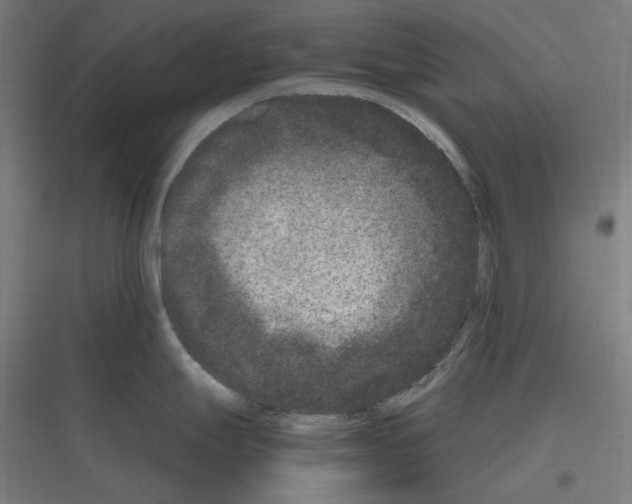 X0000116781247201001281208