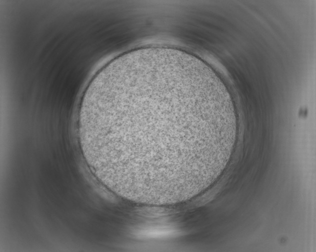 X0000116781248201001281208