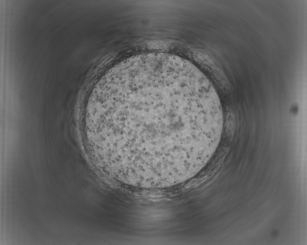 X0000116781249201001281207