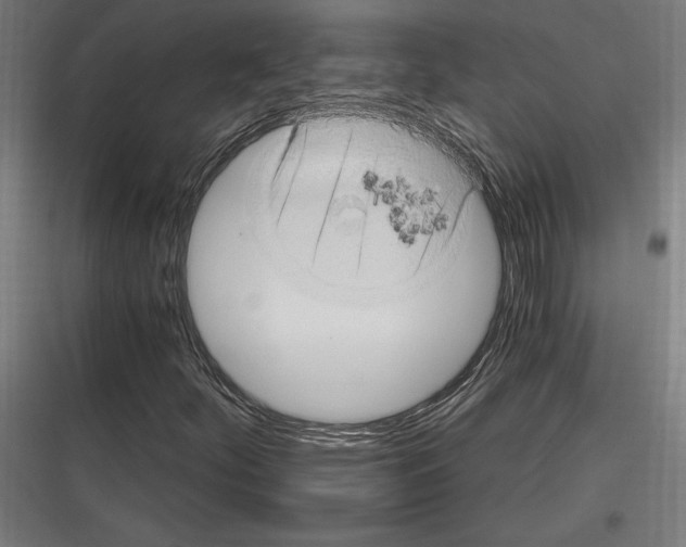 X0000116781252201001281207