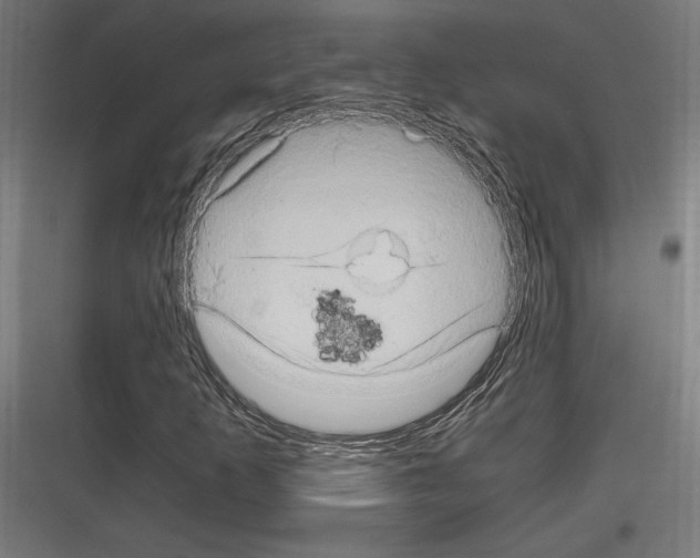 X0000116781253201001281207