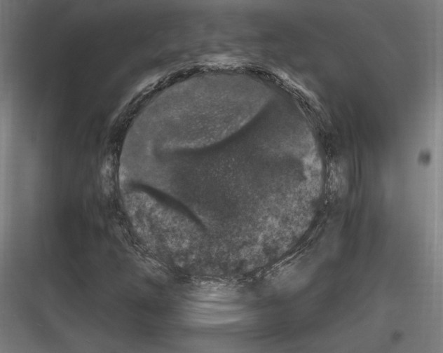 X0000116781254201001281207