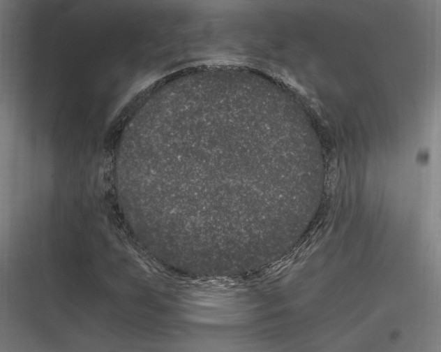 X0000116781255201001281207