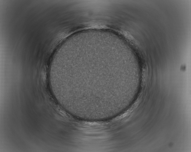 X0000116781257201001281207