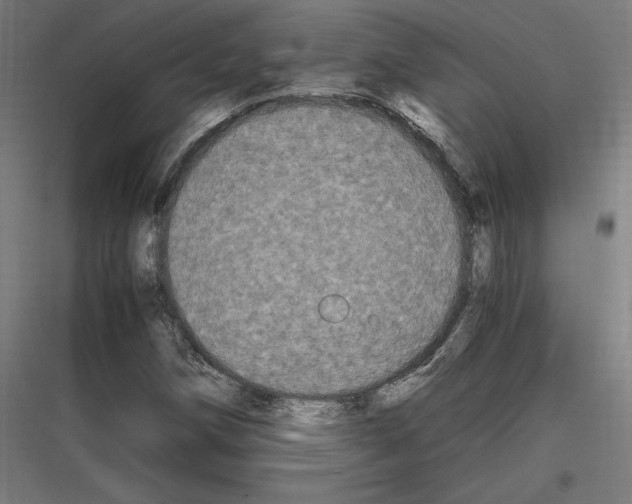 X0000116781258201001281207