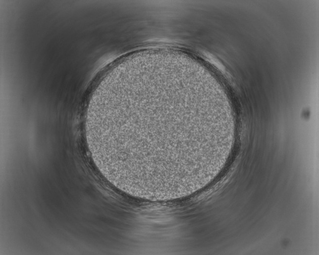 X0000116781259201001281207