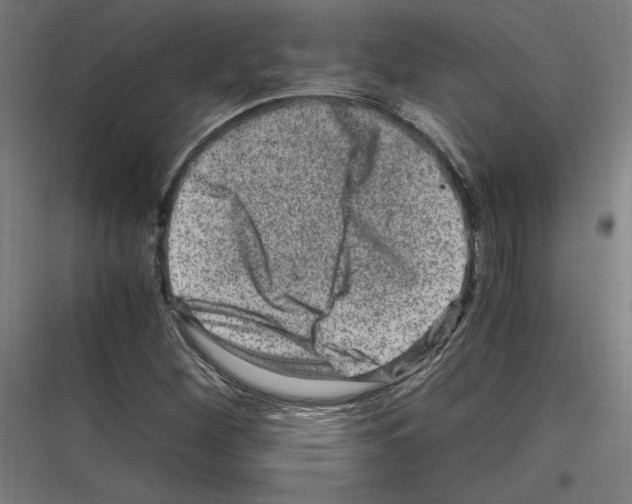 X0000116781260201001281207