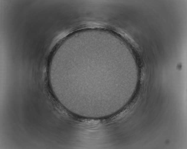 X0000116781261201001281207