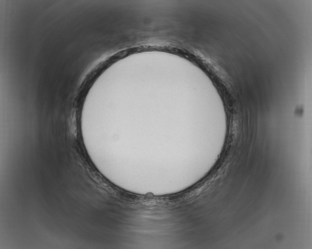 X0000116781262201001281207