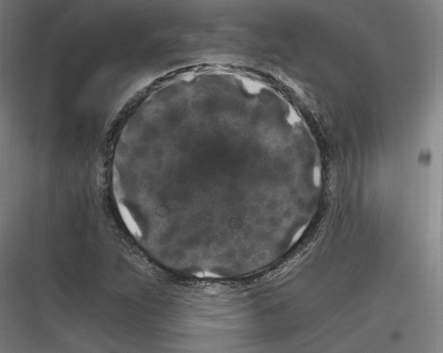 X0000116781263201001281207