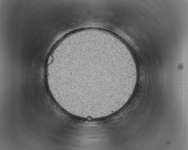 X0000116781264201001281207