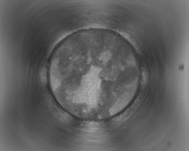 X0000116781266201001281207