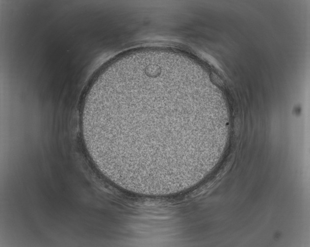 X0000116781267201001281207