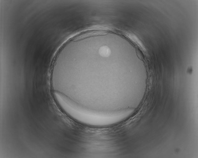 X0000116781268201001281207