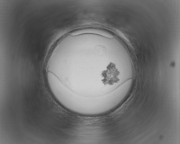 X0000116781269201001281207