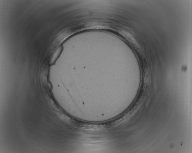 X0000116781273201001281207