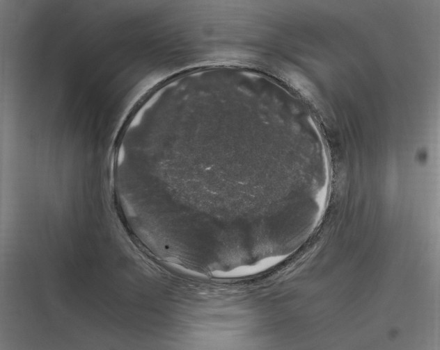 X0000116781275201001281207