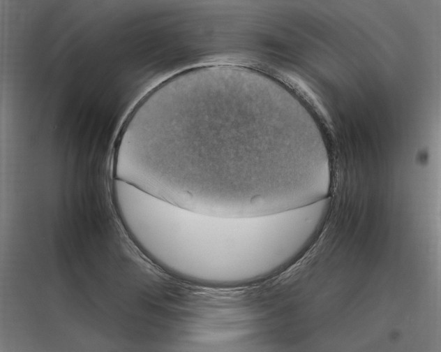 X0000116781276201001281207