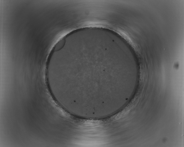 X0000116781277201001281207