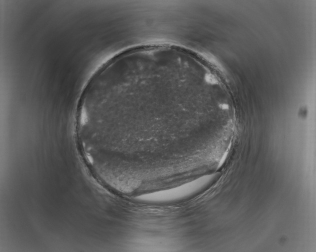 X0000116781279201001281207