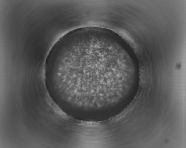 X0000116781280201001281207