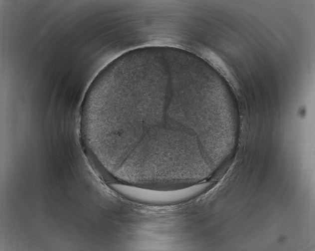 X0000116781284201001281207