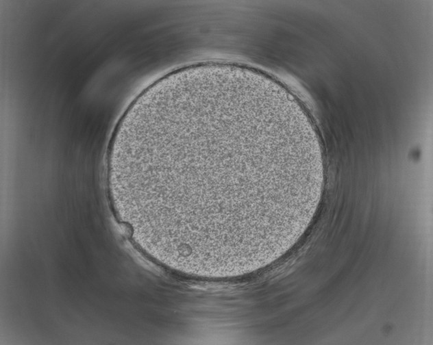 X0000116781287201001281207